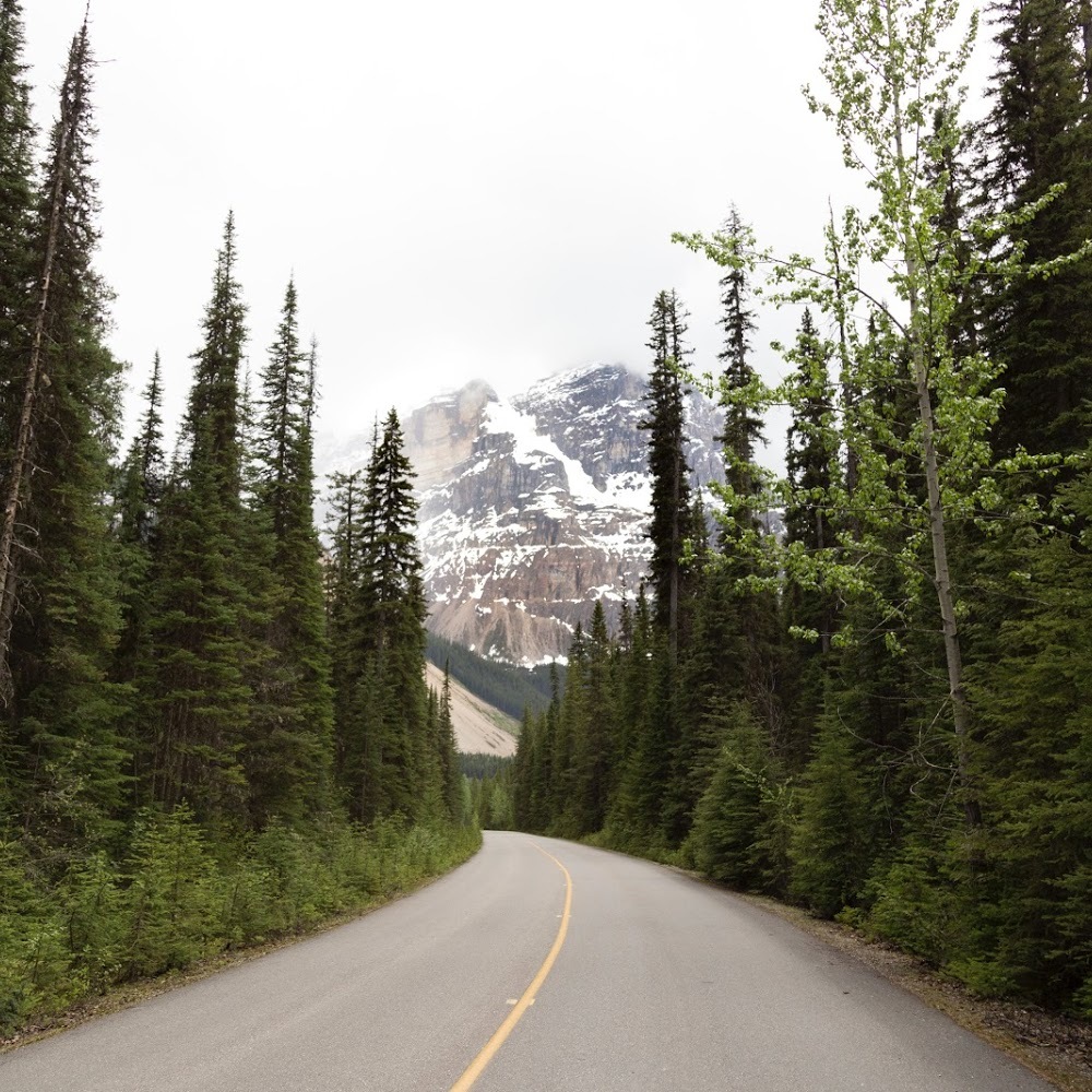 Meet your Posher, Serene